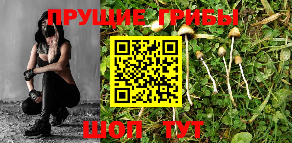Благодарный  Галлюциногенные грибы Magic Shrooms  Вход с VPN  Галлюциногенные грибы мухоморы 