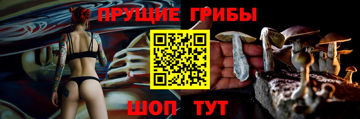 Галлюциногенные грибы Cubensis Благодарный